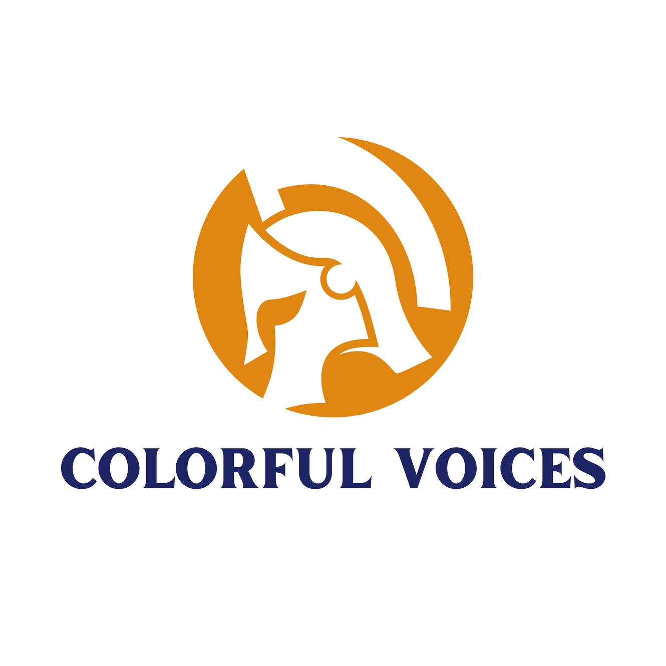 Privacy Policy | Colorful Voices